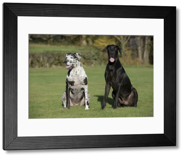 Framed Print : Picture No. 10897313 Framed Print : Picture No. 10897313