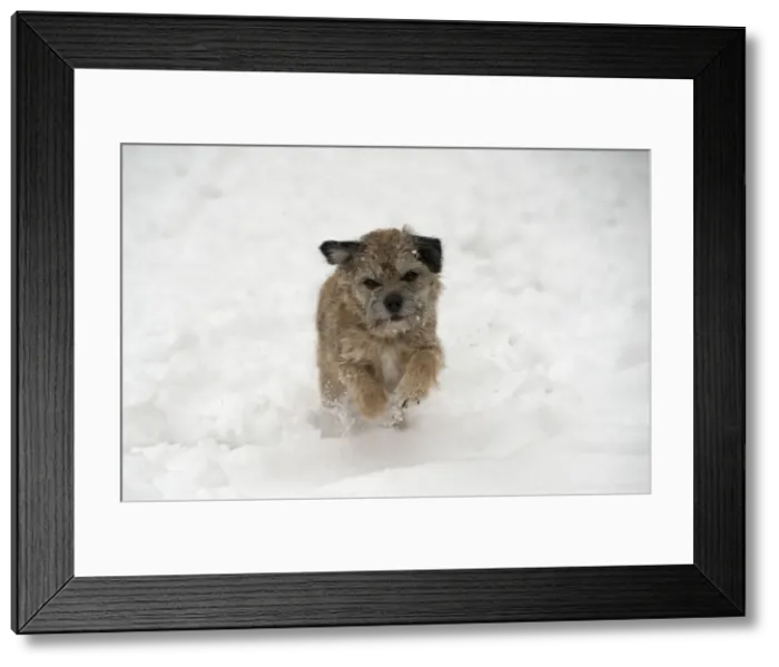 Framed Print : Picture No. 10897326 Framed Print : Picture No. 10897326