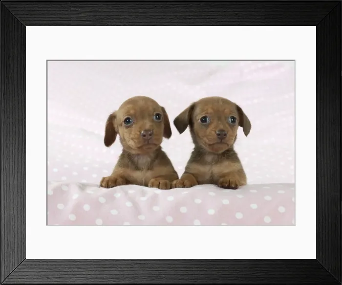 Framed Print : Picture No. 10897332 Framed Print : Picture No. 10897332