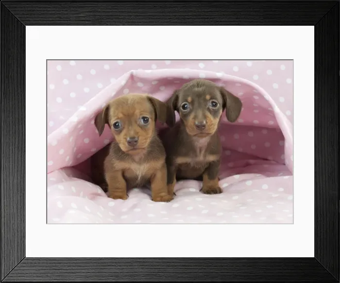 Framed Print : Picture No. 10897339 Framed Print : Picture No. 10897339