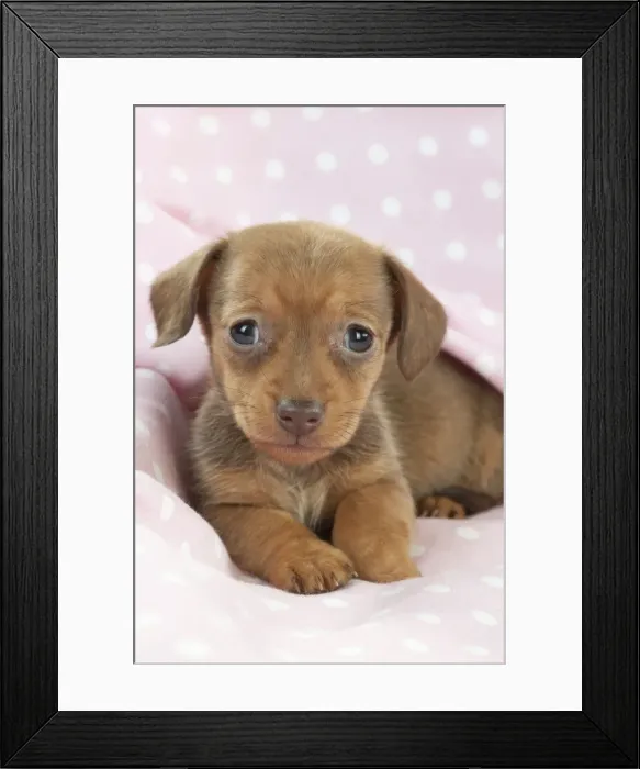 Framed Print : Picture No. 10897344 Framed Print : Picture No. 10897344