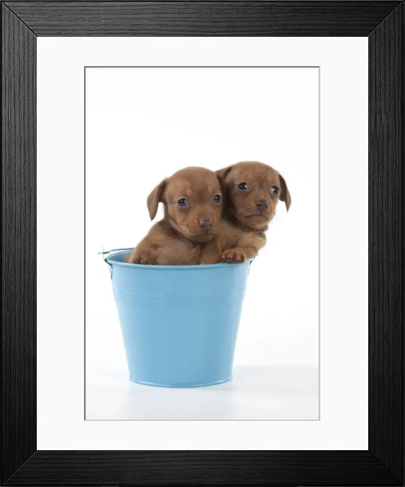 Framed Print : Picture No. 10897352 Framed Print : Picture No. 10897352