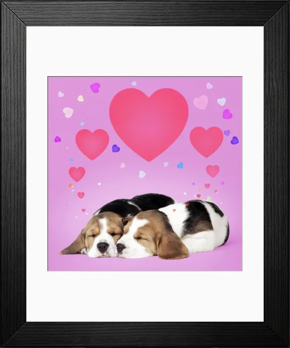 Framed Print : Picture No. 10946955 Framed Print : Picture No. 10946955