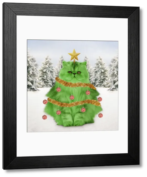 Framed Print : Picture No. 10946956 Framed Print : Picture No. 10946956