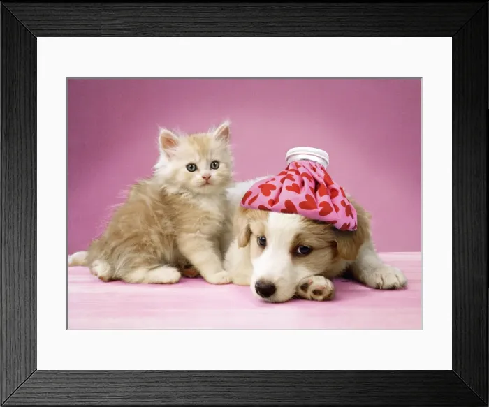 Framed Print : Picture No. 10946953 Framed Print : Picture No. 10946953