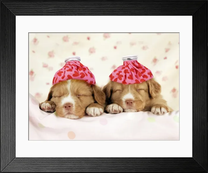 Framed Print : Picture No. 10946958 Framed Print : Picture No. 10946958