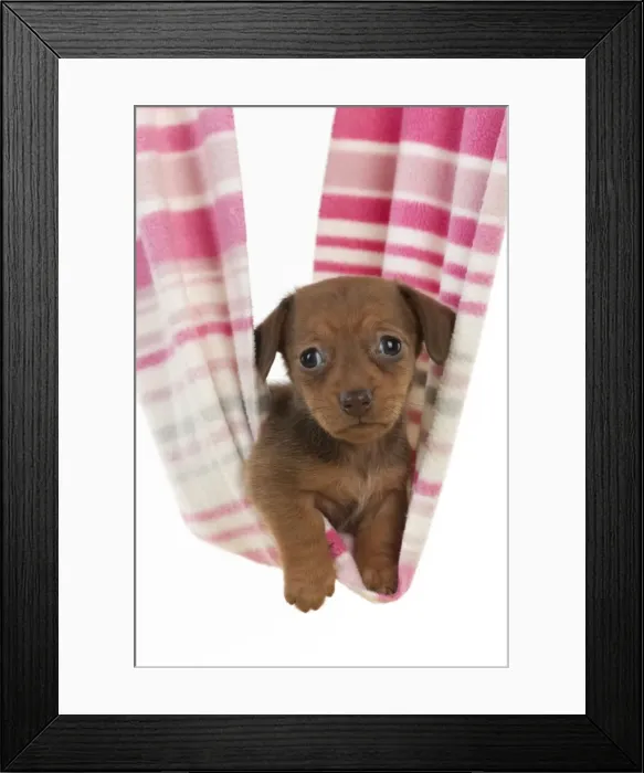 Framed Print : Picture No. 10897355 Framed Print : Picture No. 10897355