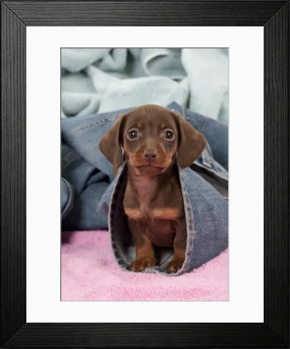 Framed Print : Picture No. 10897391 Framed Print : Picture No. 10897391