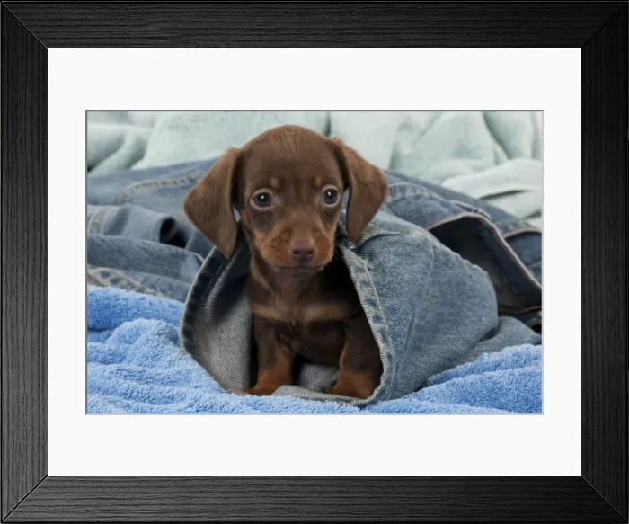 Framed Print : Picture No. 10897392 Framed Print : Picture No. 10897392