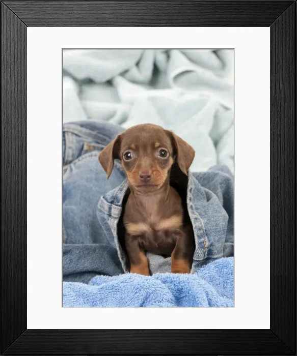 Framed Print : Picture No. 10897393 Framed Print : Picture No. 10897393