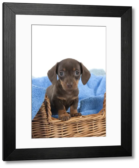 Framed Print : Picture No. 10897398 Framed Print : Picture No. 10897398