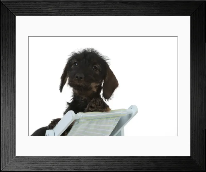 Framed Print : Picture No. 10897404 Framed Print : Picture No. 10897404