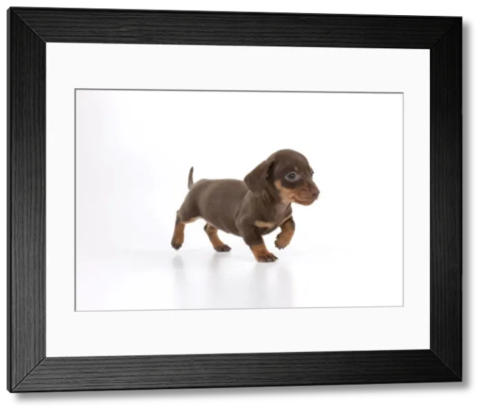 Framed Print : Picture No. 10897403 Framed Print : Picture No. 10897403
