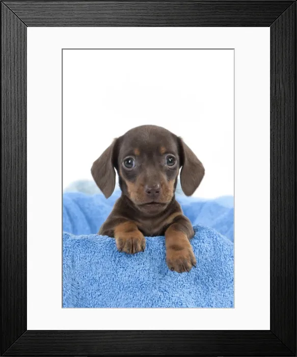 Framed Print : Picture No. 10897397 Framed Print : Picture No. 10897397