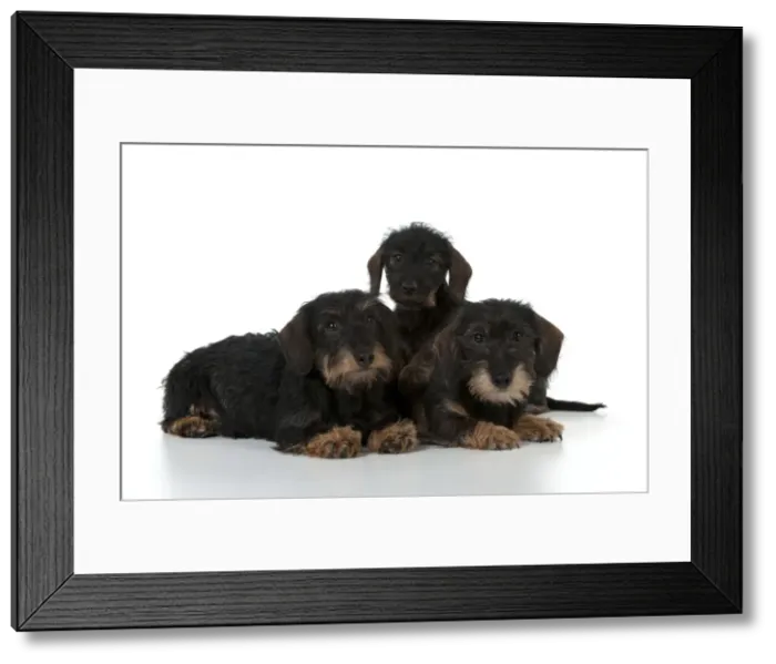 Framed Print : Picture No. 10897406 Framed Print : Picture No. 10897406