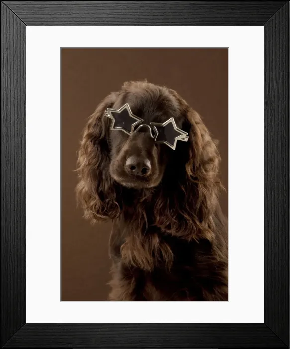Framed Print : Picture No. 10897408 Framed Print : Picture No. 10897408