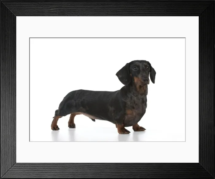 Framed Print : Picture No. 10897432 Framed Print : Picture No. 10897432