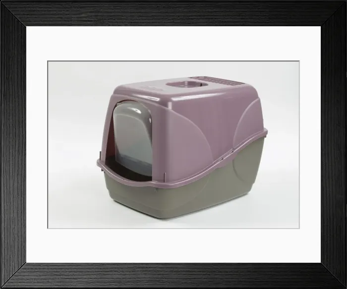 Framed Print : Picture No. 10897529 Framed Print : Picture No. 10897529