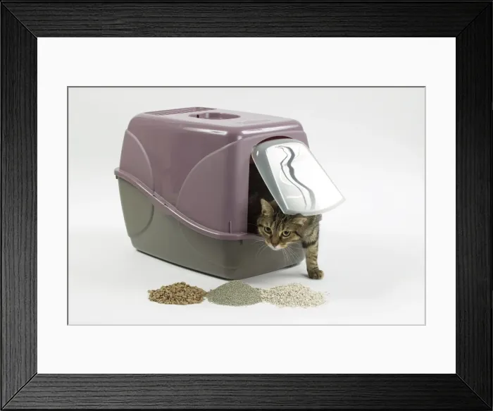 Framed Print : Picture No. 10897531 Framed Print : Picture No. 10897531