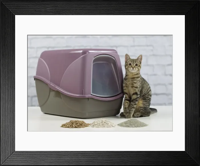 Framed Print : Picture No. 10897532 Framed Print : Picture No. 10897532