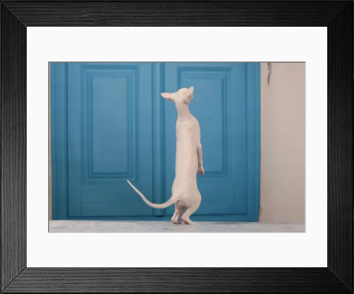Framed Print : Picture No. 10982852 Framed Print : Picture No. 10982852