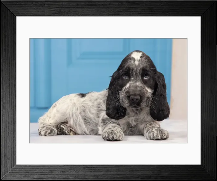 Framed Print : Picture No. 10982858 Framed Print : Picture No. 10982858