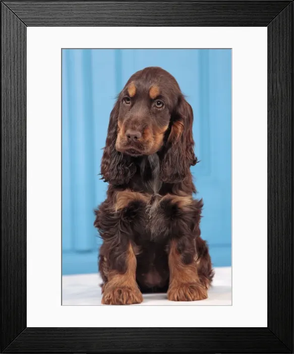 Framed Print : Picture No. 10982854 Framed Print : Picture No. 10982854