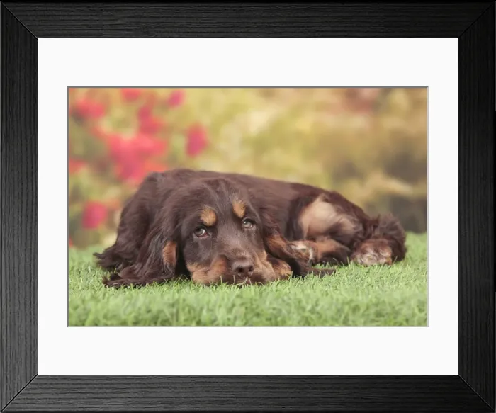 Framed Print : Picture No. 10982862 Framed Print : Picture No. 10982862