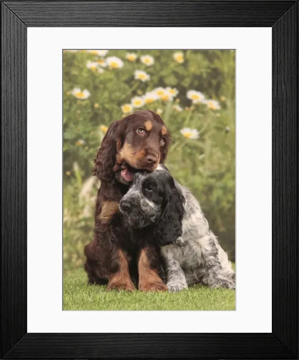 Framed Print : Picture No. 10982869 Framed Print : Picture No. 10982869