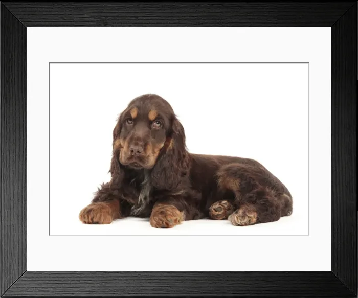 Framed Print : Picture No. 10982872 Framed Print : Picture No. 10982872