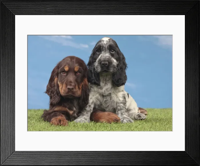 Framed Print : Picture No. 10982866 Framed Print : Picture No. 10982866