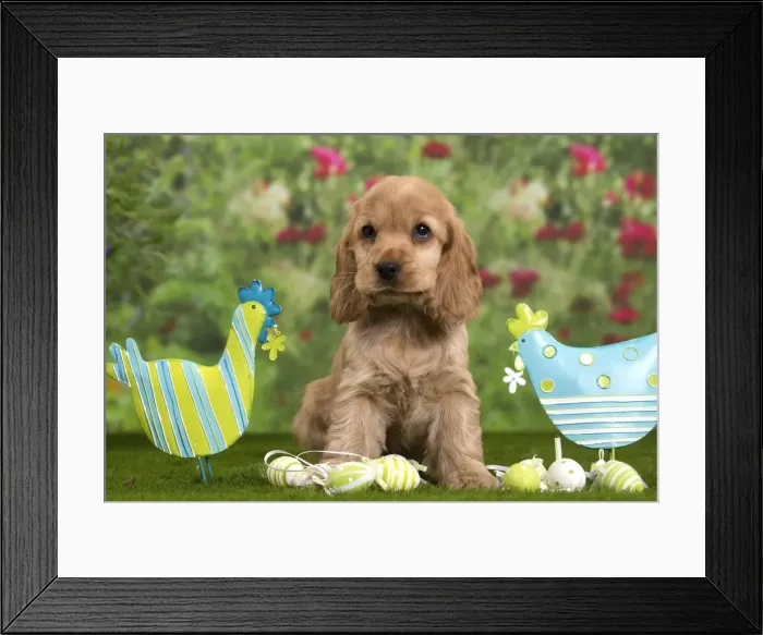Framed Print : Picture No. 10983398 Framed Print : Picture No. 10983398