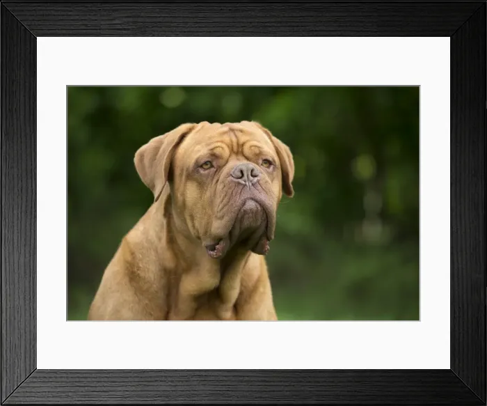 Framed Print : Picture No. 10897712 Framed Print : Picture No. 10897712