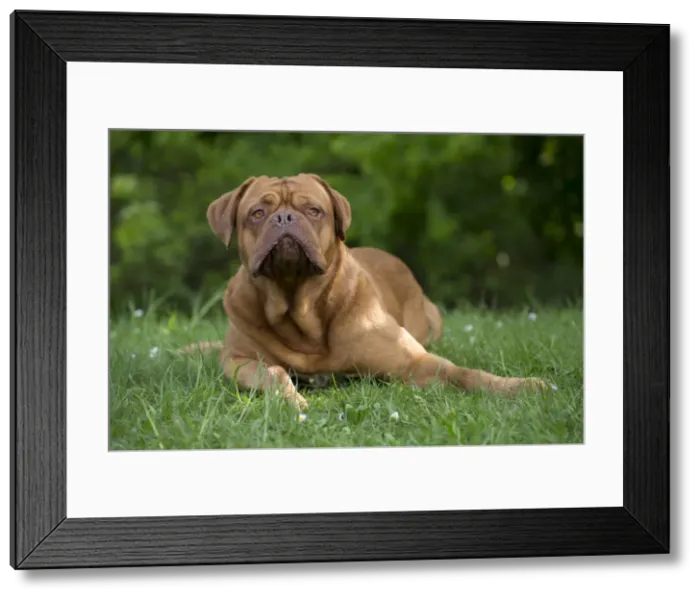 Framed Print : Picture No. 10897715 Framed Print : Picture No. 10897715