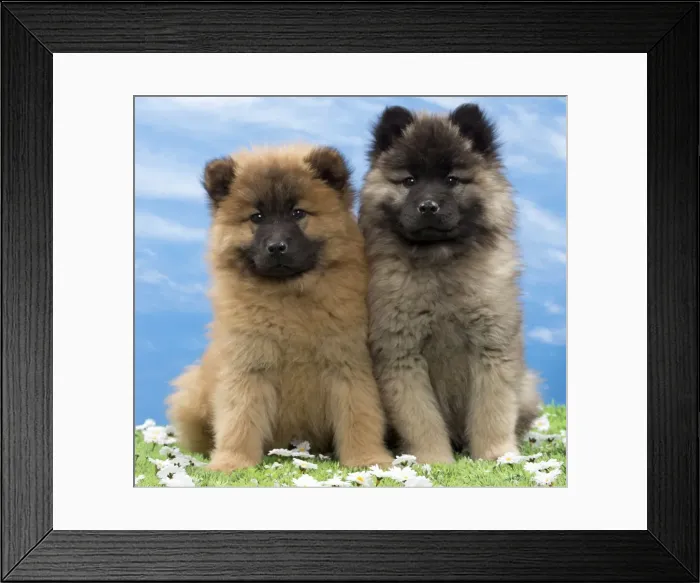 Framed Print : Picture No. 10897730 Framed Print : Picture No. 10897730