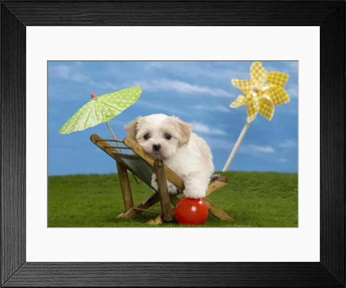 Framed Print : Picture No. 10897744 Framed Print : Picture No. 10897744