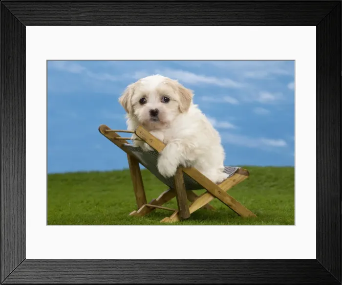 Framed Print : Picture No. 10897748 Framed Print : Picture No. 10897748
