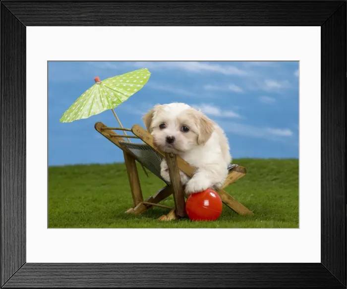 Framed Print : Picture No. 10897745 Framed Print : Picture No. 10897745