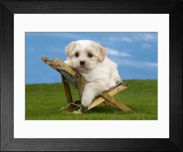 Framed Print : Picture No. 10897747