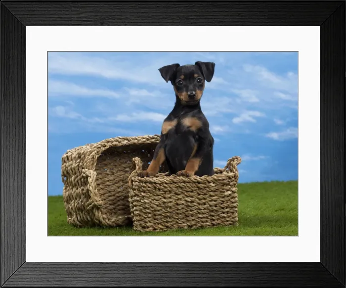 Framed Print : Picture No. 10897809 Framed Print : Picture No. 10897809