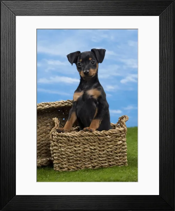 Framed Print : Picture No. 10897808 Framed Print : Picture No. 10897808
