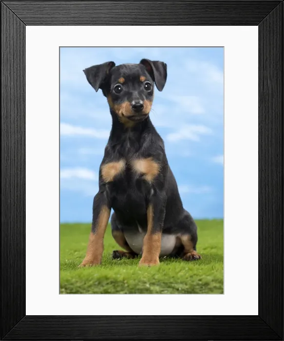 Framed Print : Picture No. 10897811 Framed Print : Picture No. 10897811