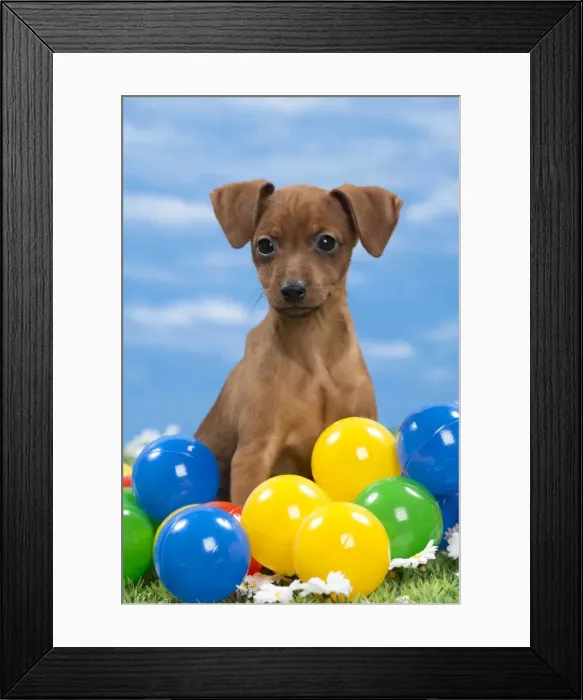 Framed Print : Picture No. 10897816 Framed Print : Picture No. 10897816