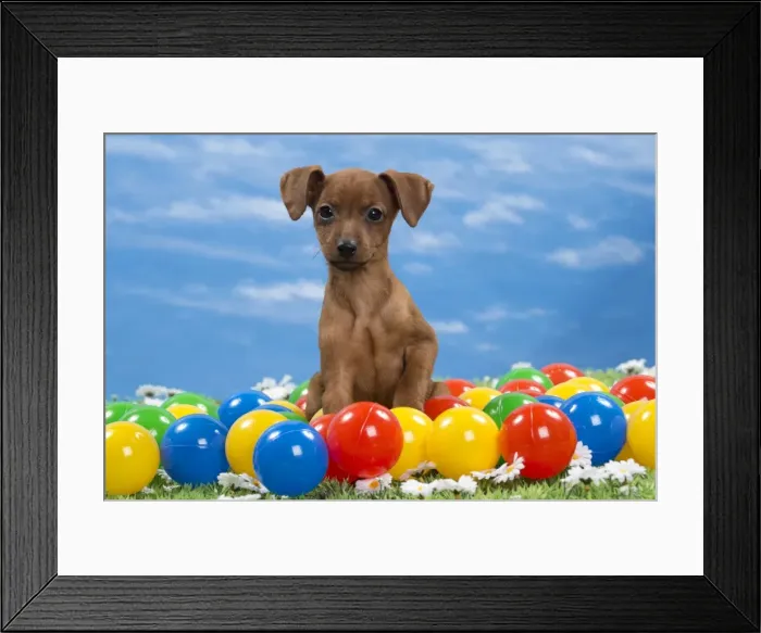 Framed Print : Picture No. 10897817 Framed Print : Picture No. 10897817