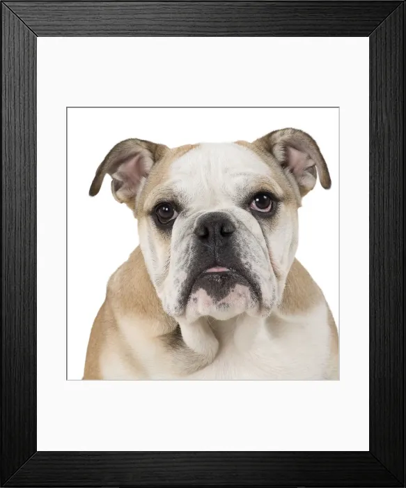 Framed Print : Picture No. 10897828
