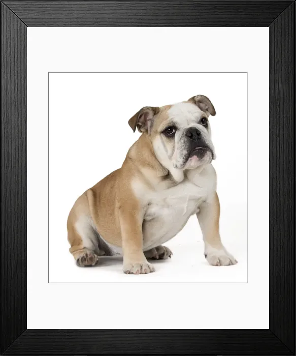 Framed Print : Picture No. 10897830 Framed Print : Picture No. 10897830