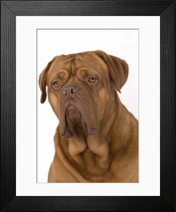 Framed Print : Picture No. 10897834 Framed Print : Picture No. 10897834