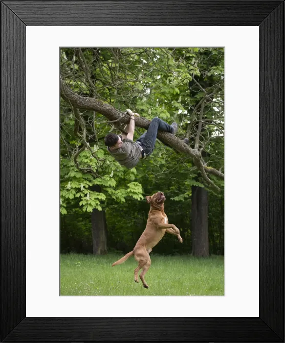 Framed Print : Picture No. 10897837 Framed Print : Picture No. 10897837