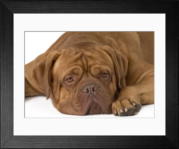 Framed Print : Picture No. 10897836