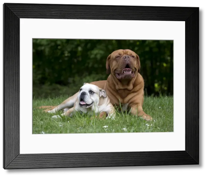Framed Print : Picture No. 10897846 Framed Print : Picture No. 10897846